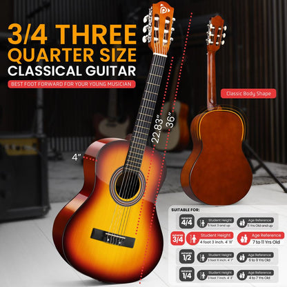 Beginner Acoustic Guitar Kit Beautiful Sound Hand-Crafted Wood Brown Gloss
