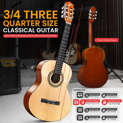 Acoustic Guitar Kit Beginner 3/4 Size All Wood 36 Natural Ash